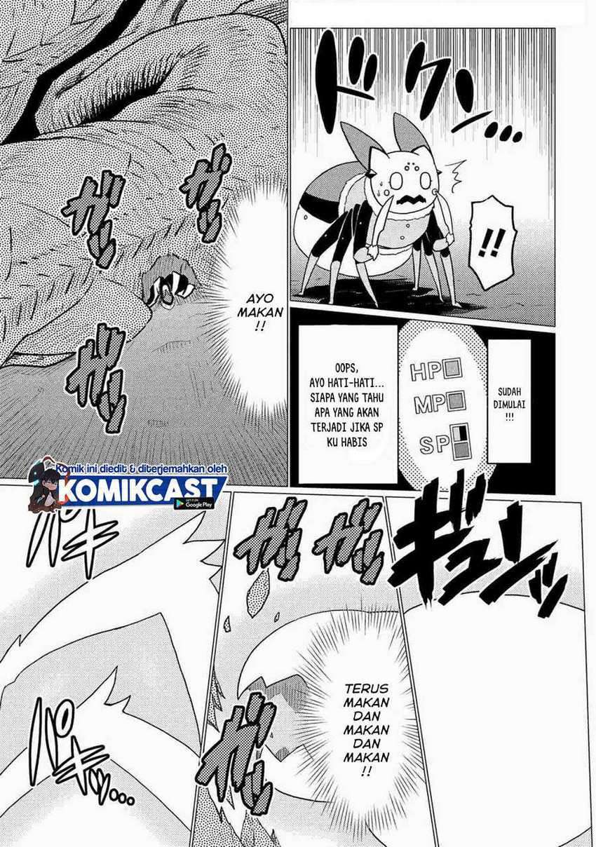 Kumo desu ga, Nani Ka?